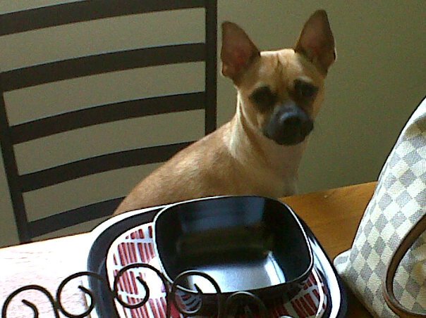 218108_10150281683014112_1549097_n