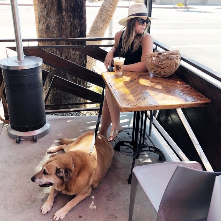 Processed with VSCO with s2 preset